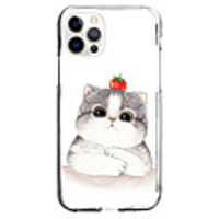 Animal Case For Apple iPhone 12 iPhone 11 iPhone 12 Pro Max Unique Design Protective Case and Screen Protector Shockproof Back Cover TPU