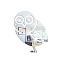 Animal Owl Wall Stickers Mirror Wall Stickers Decorative Wall Stickers,  Acrylic Home Decoration Wall Decal Wall Decoration 1pc