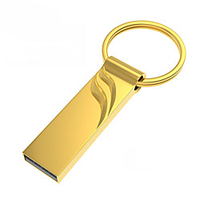 ANT 64GB USB Flash Drives USB 2.0 Water Resistant For Office and Teaching