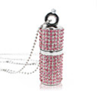 Ants 64GB usb flash drive usb disk USB 2.0 Metal Lovely