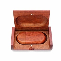 Ants Wooden 16G USB Flash Drive USB 2.0 64G 32G 16G 8G 4G 2G USB Disk Packing Box Wooden Bamboo Pendrive