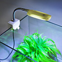 Aquarium LED Light White Energy Saving LED Lamp 220 V V Plastic