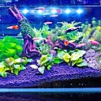 Aquarium Light LED Light Fish Tank Light White Durable Plastic 1.5 W / 