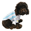 Argentina National Football Shirt for Dogs (XS-XXL)