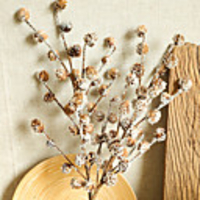 Artificial Plants Pine Ball Branch Natural Dried Plants Christmas Decorations Home Wedding Party Accessories
