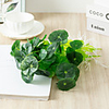 Artificial Plants Plastic Rustic Bouquet Tabletop Flower Bouquet 1 Decoration Of Small Lotus Leaf Fish Tank In Tongqianye Fish Pond