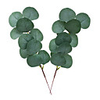 Artificial Plants Plastic Stage Props Tabletop Flower Eucalyptus 10