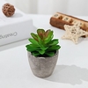Artificial Plants Real Touch Rustic Tabletop Flower 6x9cm miniinthebox