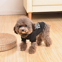 Autumn And winter pet clothing Teddy Bomei dog Hooded Sweater Thickened Two legged T-shirt Sportswear miniinthebox