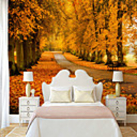 Autumn Maple Forest Suitable for TV Background Wall Wallpaper Murals Living Room Cafe Restaurant Bedroom Office XXXL(448280cm)