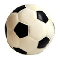 Ball Chew Toy Interactive Toy Dog Toy Pet Toy Squeak / Squeaking Plastic Gift