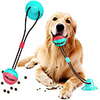 Ball Chew Toy Interactive Toy Slow Feeder Treat Ball Dog Pet Toy Elastic Plastic Metal Gift