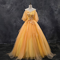 Ball Gown Elegant Floral Quinceanera Prom Dress Spaghetti Strap Half Sleeve Floor Length Tulle with Pleats Appliques 2020