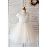 Ball Gown Knee Length Wedding / Birthday Flower Girl Dresses - Lace / Tulle Short Sleeve Jewel Neck with Belt / Buttons / Beading