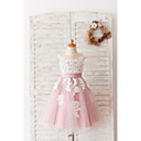 Ball Gown Knee Length Wedding / Birthday Flower Girl Dresses - Lace / Tulle Sleeveless Jewel Neck with Belt / Buttons