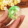 Ball Interactive Toy Cat Toy Dog Toy Pet Toy Bell Plastic Gift