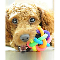 Ball Interactive Toy Dog Play Toy Dog Toy Squeak / Squeaking Rubber Gift Pet Toy Pet Play miniinthebox