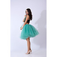 Ballet Dancer Petticoat Hoop Skirt Tutu Women