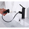 Bathroom Sink Faucet - Rotatable / Pull out Painted Finishes Centerset Single Handle One HoleBath Taps