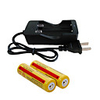 Battery Charger with 2pcs 18650 lithium ion Batteries 4200 mAh 3.7v Rechargeable Portable Fast Charging UK EU USA Plug Camping / Hiking / Fishing