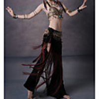 Belly Dance Pants Sash / Ribbon Tassel Split Women