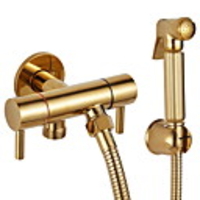 Bidet Faucet ElectroplatedToilet Handheld bidet Sprayer Self-Cleaning Contemporary