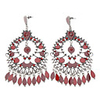 Big Circle Tassels Silver Plated Earrings