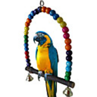 Bird Perches Ladders Wood