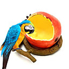 Birds Feeder BowlBird Food Feeding Bowl Feed Cup for Small Parrots Cockatiels Conure Hamster Small Animal Drinking Water Container for Birds Cage Accessories
