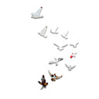 Birds Geese Mirror Carved Wall Pigeon Animals Wall Stickers Mirror Wall Stickers / Animal Wall Stickers Decorative Wall Stickers Acrylic Home Decoration Wall Decal Wall Decoration 11pcs
