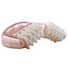 Body Roller Massager Beauty Helper with Handle