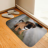Brown Black Mouth Dog Digital Printing Floor Mat Flowers Kitten Girl Modern Bath Mats Nonwoven / Memory Foam Novelty Bathroom