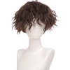 Brown Wigs for Men Short Curly Synthetic Hair Wigs for Men Boy Costume Cosplay Party Natural Black Heat Resistant Fake Hair miniinthebox