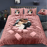BTS Series 3-Piece Duvet Cover Set Hotel Bedding Sets Comforter Cover with Soft Lightweight Microfiber For Holiday Decoration(Include 1 Duvet Cover and 1or 2 Pillowcases)