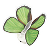 Butterfly LED Color Light Luminous Butterfly