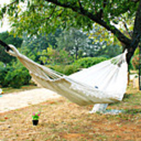 Camping Hammock Outdoor Fast Dry Decoration Adjustable Flexible Hemp Rope Pure Cotton with Carabiners and Tree Straps for 2 person White 200150 cm with Hardwood Spreader Bars