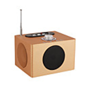 Card Reader Speaker MP3 Player with RM Radio