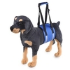 Carrying A Dog With A Pet Hand Belt Pet Assistance With A Pet Protection Belt miniinthebox