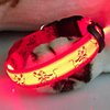 Cartoon Dog Style LED Dog Collar (40-50cm,  Assorted Colors)