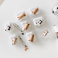 Case For AirPods 1 2 pro Pattern Cute Animal Headphone Case Hard