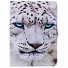Case For Apple iPad Pro (2020) 11