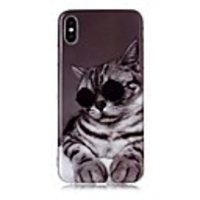 Case For Apple iPhone XS / iPhone XR / iPhone XS Max IMD / Pattern Back Cover TPU