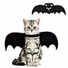 cat bat costume, halloween cat bat wings for pets, cat halloween collar pet apparel for small dogs and cats, comfort material pet costume for halloween