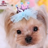 Cat Dog Hair Accessories Hair Bow Cosplay Wedding Dog Clothes Red Blue Pink Costume Terylene
