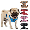 Cat Dog Harness Vest Breathable Adjustable / Retractable Training Safety Soft No Pull Plaid / Check Mesh Black Red Blue Pink Beige miniinthebox