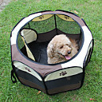 Cat Dog Kennel Crate Foldable Collapsible Cartoon Nylon Yellow Red Blue