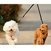 Cat Dog Leash Double Dog Leash Dual / Double Solid Colored Nylon Purple Yellow