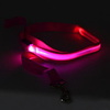 Cat Dog Leash LED Lights Nylon Yellow Red Pink Orange Green