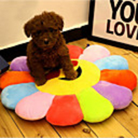 Cat Dog Mattress Pad Bed Bed Blankets Multi Color Flower / Floral Portable Breathable Foldable Fabric 4545 cm