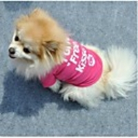 Cat Dog Shirt / T-Shirt Letter Number Casual / Daily Dog Clothes Breathable Rose Costume Cotton XS S M L